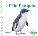 Little Penguin (Mini Animals) By Julie Murray Cover Image