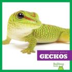 Geckos (Reptile World) By Vanessa Black Cover Image