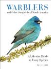Warblers and Other Songbirds of North America: A Life-size Guide to Every Species Cover Image