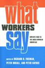 What Workers Say: Employee Voice in the Anglo-American Workplace Cover Image