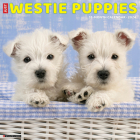Just Westie Puppies 2024 12 X 12 Wall Calendar By Willow Creek Press Cover Image