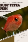 Ruby Tetra Fish: From Novice to Expert. Comprehensive Aquarium Fish Guide By Iva Novitsky Cover Image