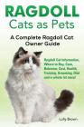 Ragdoll Cats as Pets: Ragdoll Cat Information, Where to Buy, Care, Behavior, Cost, Health, Training, Grooming, Diet and a whole lot more! A By Lolly Brown Cover Image