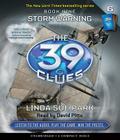 The Storm Warning (The 39 Clues, Book 9) Cover Image