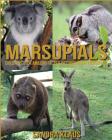 Childrens Book: Amazing Facts & Pictures about Marsupials Cover Image