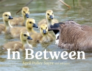 In Between By April Pulley Sayre, April Pulley Sayre (Photographs by), Jeff Sayre (With) Cover Image