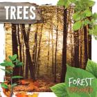 Trees By Robin Twiddy Cover Image