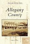 Allegany County (Postcard History) By Albert L. Feldstein Cover Image