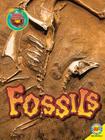 Fossils (Focus on Earth Science) By Megan Lappi Cover Image