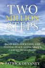 Two Million Steps: Band-Aids, Cocktails, and Finding Peace Along Spain's Camino de Santiago By Patrick Devaney Cover Image