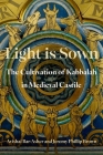 Light Is Sown: The Cultivation of Kabbalah in Medieval Castile (Oxford Studies in Western Esotericism) By Avishai Bar-Asher, Jeremy Phillip Brown Cover Image