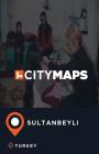 City Maps Sultanbeyli Turkey By James McFee Cover Image