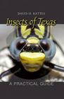 Insects of Texas: A Practical Guide (W. L. Moody Jr. Natural History Series #39) By David H. Kattes Cover Image
