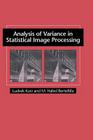 Analysis of Variance in Statistical Image Processing By Ludwik Kurz, M. Hafed Benteftifa Cover Image