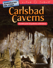 Aventuras de Viaje: Carlsbad Caverns: Identificación de Patrones Aritméticos (Travel Adventures: Carlsbad Caverns: Identifying Arithmetic Patterns) (Mathematics Readers) By Dona Herweck Rice Cover Image