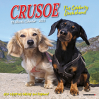 Crusoe the Celebrity Dachshund 2022 Mini Wall Calendar Cover Image