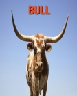 Bull: Fun Learning Facts About Bull Cover Image