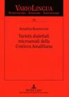 Varietà dialettali microareali della Costiera Amalfitana (Variolingua. Nonstandard - Standard - Substandard #34) By Edgar Radtke (Other), Klaus J. Mattheier (Other), Annalisa Buonocore Cover Image
