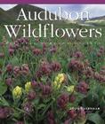 Audubon Wildflowers Wall Calendar 2006 By National Audubon Society Cover Image