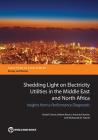 Shedding Light on Electricity Utilities in the Middle East and North Africa: Insights from a Performance Diagnostic Cover Image