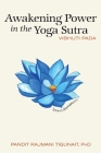 Awakening Power in the Yoga Sutra: Vibhuti Pada Cover Image