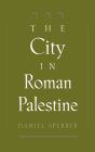 The City in Roman Palestine By Daniel Sperber Cover Image