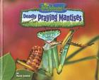 Deadly Praying Mantises (No Backbone! the World of Invertebrates) Cover Image
