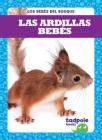 Las Ardillas Bebes (Squirrel Kits) Cover Image