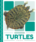 Turtles Cover Image