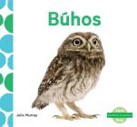 Búhos (Owls) (Spanish Version) By Julie Murray Cover Image