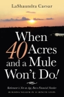 When 40 Acres and a Mule Won't Do!: Retirement Is Not an Age, but a Financial Number By Lashaundra Caesar Cover Image