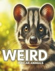 Weird African Animals Coloring Book for adults: Weird But Adorable African Animals You Didn't Know Existed, rare African animals Enjoy our list of the By Heather Abshire Cover Image