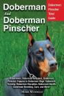 Doberman and Doberman Pinscher: Doberman Pinscher Complete Guide: Puppies, Training, Adults, Discipline, Health, Breeders, Care & More! By Mark Manfield Cover Image
