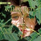 Wild Boy By James Lincoln Collier, Kirby Heyborne (Read by) Cover Image