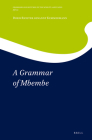 A Grammar of Mbembe (Grammars and Sketches of the World's Languages) By Doris Richter Cover Image