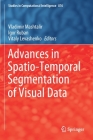 Advances in Spatio-Temporal Segmentation of Visual Data (Studies in Computational Intelligence #876) By Vladimir Mashtalir (Editor), Igor Ruban (Editor), Vitaly Levashenko (Editor) Cover Image