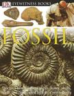 Fossil By Paul Taylor Cover Image