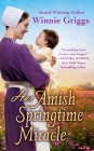 Her Amish Springtime Miracle (Hope's Haven #2) Cover Image