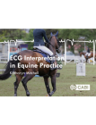 ECG Interpretation in Equine Practice By Katharyn Mitchell Cover Image