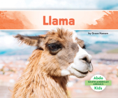 Llama (South American Animals) By Grace Hansen Cover Image