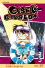 Case Closed, Vol. 17 By Gosho Aoyama Cover Image