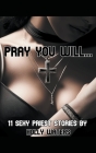 Pray You Will... - 11 Sexy Priest Stories Cover Image