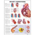 Heart Conditions Cover Image
