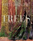 Trees: Between Earth and Heaven By Gregory McNamee, Art Wolfe (By (photographer)), Wade Davis (Introduction by) Cover Image