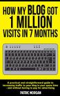 How My Blog Got 1 Million Visits In 7 Months: A practical and straightforward guide to increasing traffic to your blog in your spare time - and withou By Patric Morgan Cover Image