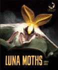 Luna Moths (Creatures of the Night) Cover Image