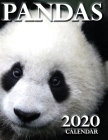 Pandas 2020 Calendar Cover Image