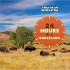 24 Hours in a Grassland (Day in an Ecosystem) By Ruth Bjorklund Cover Image