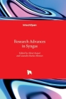 Research Advances in Syngas By Lisandra Rocha-Meneses (Editor), Abrar Inayat (Editor) Cover Image