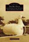 The Big Duck and Eastern Long Island's Duck Farming Industry By Susan Van Scoy Cover Image